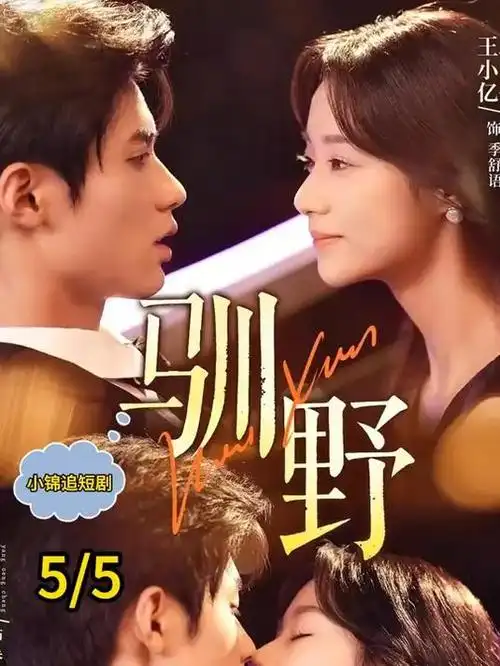 我的邻居是编剧 韩国喜剧海报